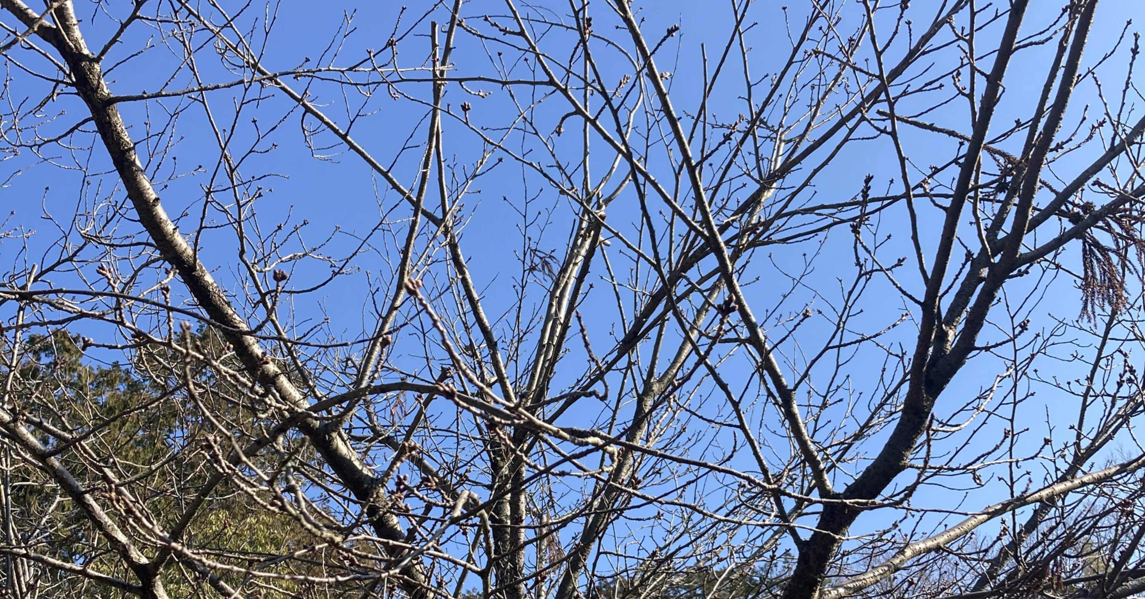 本好きあるあるを言いたい 文字遊び Note