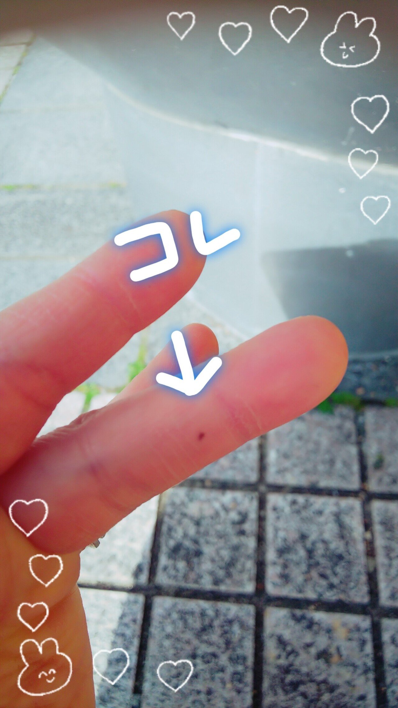 最近 こんなとこにホクロができちゃって 左手の中指の手のひら側にハッキリした生きボクロ なんでしょうねぇ 手のひら側にあるほくろは 凶相らしいっす 中指ってのも何か意味があ くるみ Note 最近 こんなとこにホクロができちゃって 左手の中指の手のひら側にハッキリした生きボクロ なんでしょうねぇ 手のひら側にあるほくろは 凶相らしいっす 中指ってのも何か意味があ くるみ Note