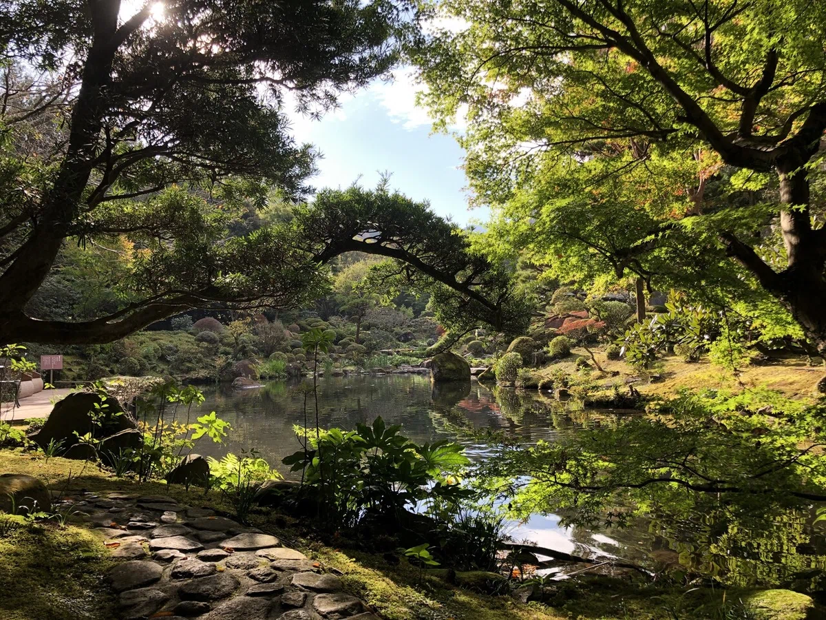 画像8