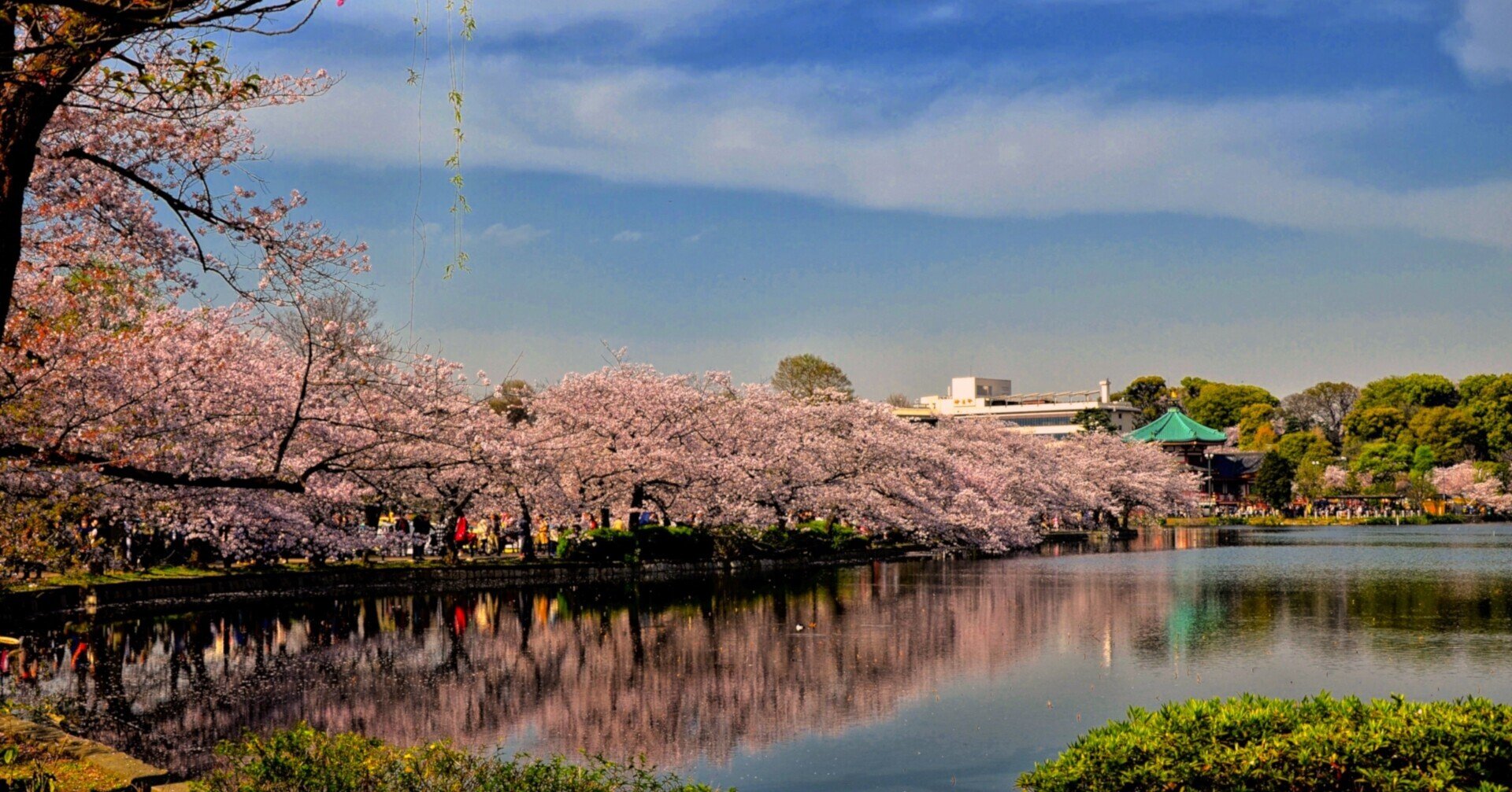 教員免許状の更新講習を最短で終わらせる方法 まむちゃん Note 教員免許状の更新講習を最短で終わらせる方法 まむちゃん Note