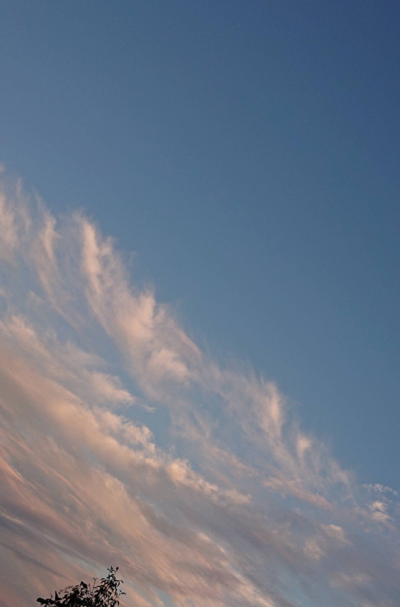 癒しの空 たかとも Note 癒しの空 たかとも Note