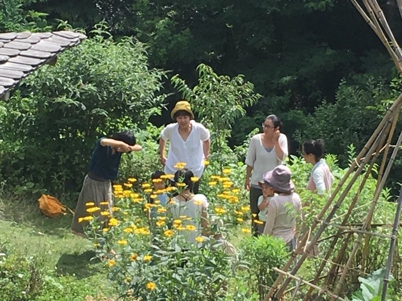 安曇野シュタイナーこども園おひさま 天上の楽園で遊ぶ Shanthi Usui Note 安曇野シュタイナーこども園おひさま 天上の楽園で遊ぶ Shanthi Usui Note
