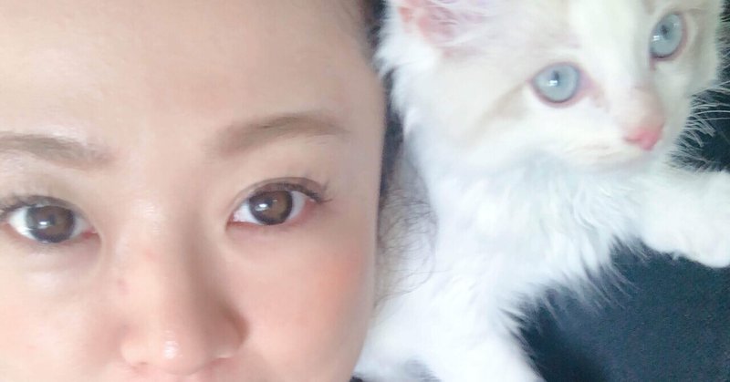 排卵日調べない40歳妊活記 9 猫アレルギーと花粉症が完治した 江里ママ Note