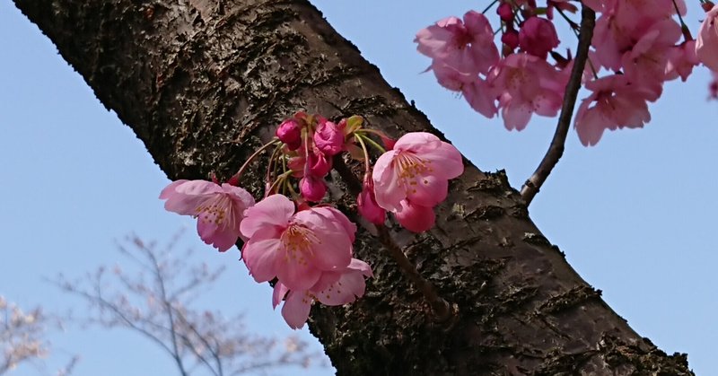 掌編小説「髪飾り」