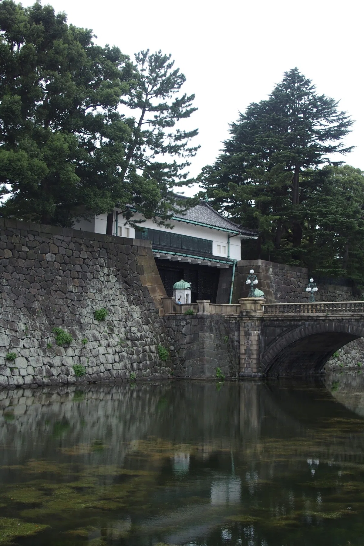 画像13