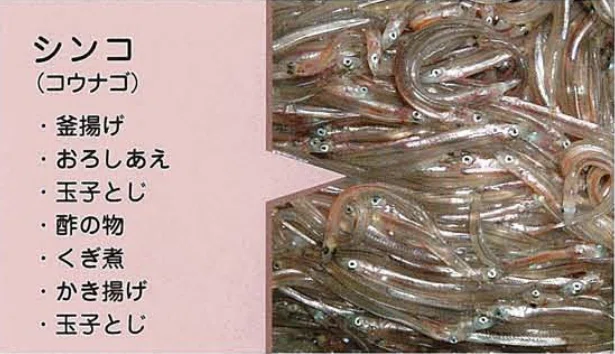 イカナゴ 食と栄養 公益社団法人日本水産資源保護協会 わが国の水産業 いかなご より 山中勧 伍魚福社長 Note