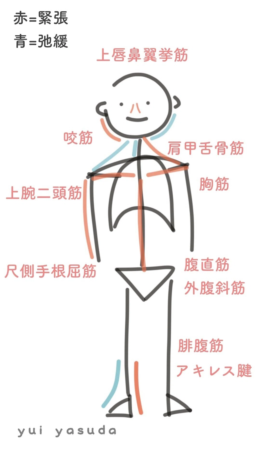 What is good posture?｜安田結衣