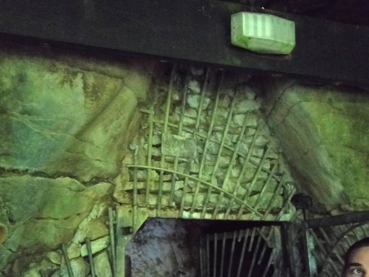 Kia Ora At Waitomo Glowworm Caves ニュージーランドのツチボタル Ioppi Note