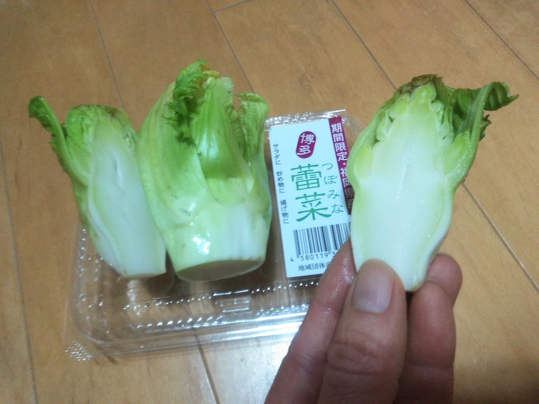 蕾菜 の新着タグ記事一覧 Note つくる つながる とどける 蕾菜 の新着タグ記事一覧 Note つくる つながる とどける