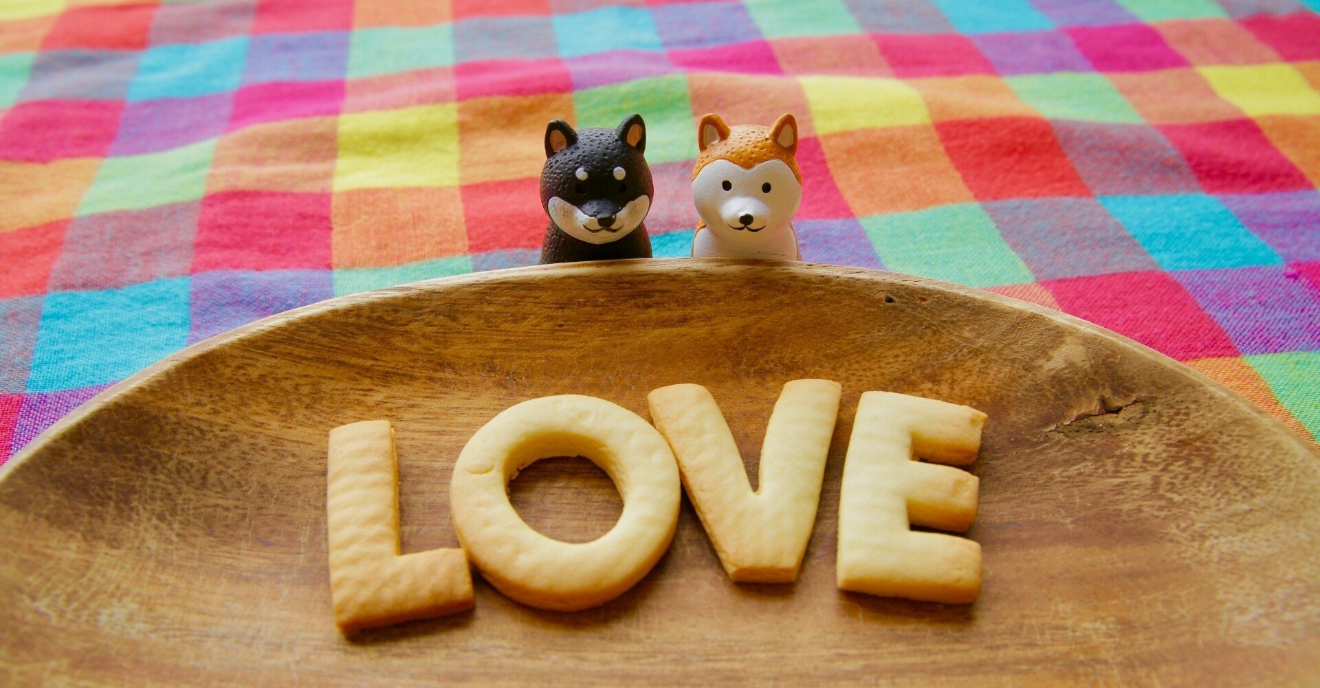 腎臓 肝臓の悪い老犬の食事 いきものがかり Note