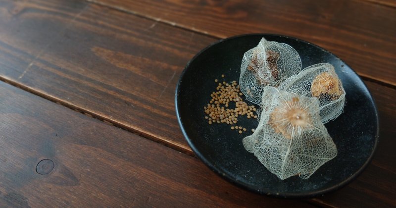 真冬の種蒔き実験 食用ほおずき つぐみ Note