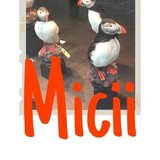 Micii.