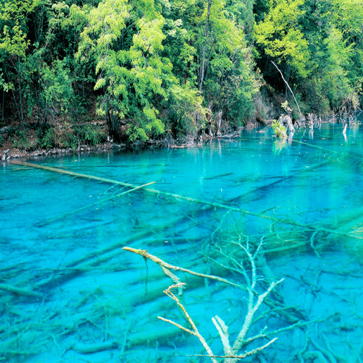 世界遺産通信〜第11回 九寨溝の自然景観と歴史地区〜｜𝕐𝕦𝕞𝕚𓍯 | 30