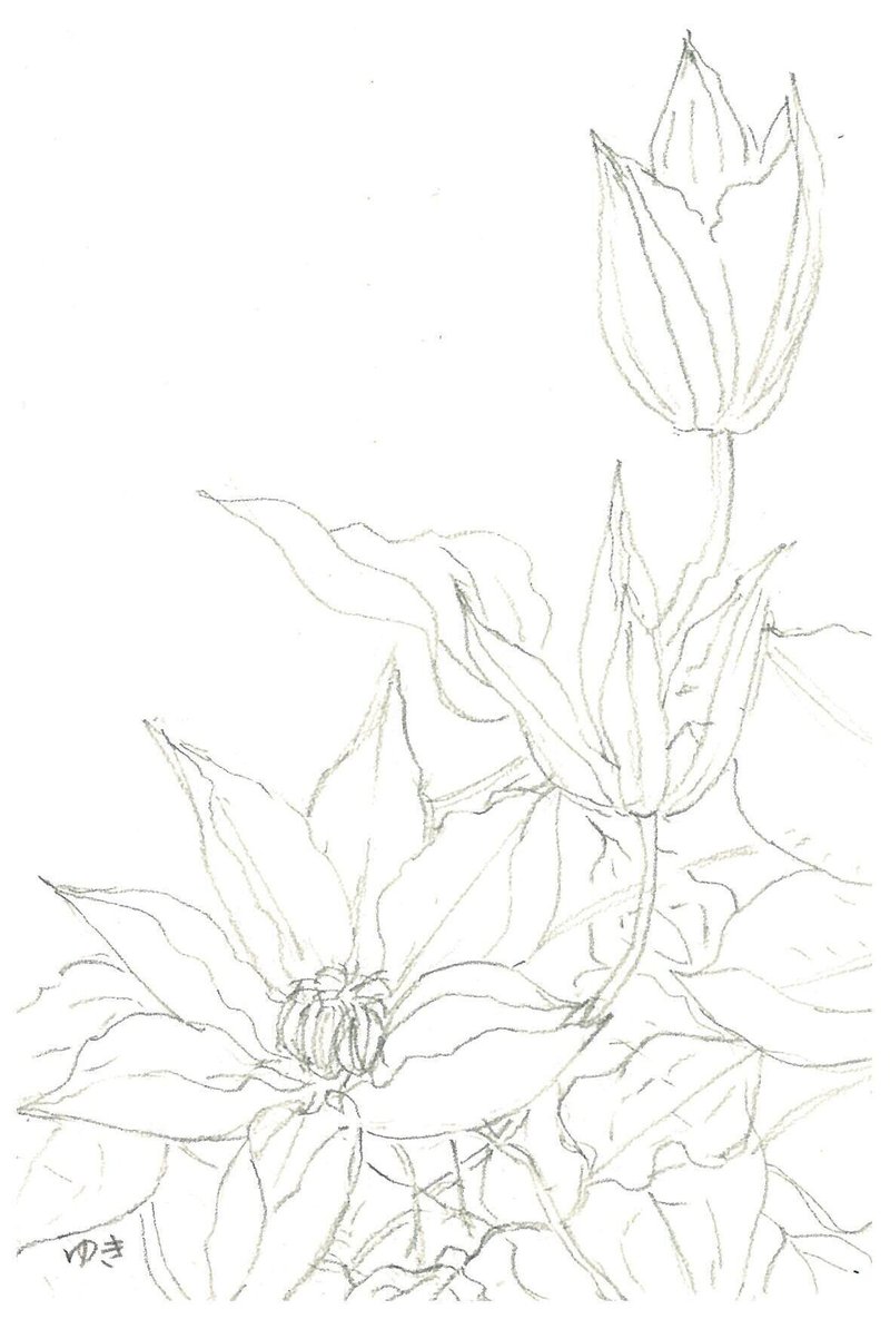 ぬりえ 20 Snow Note