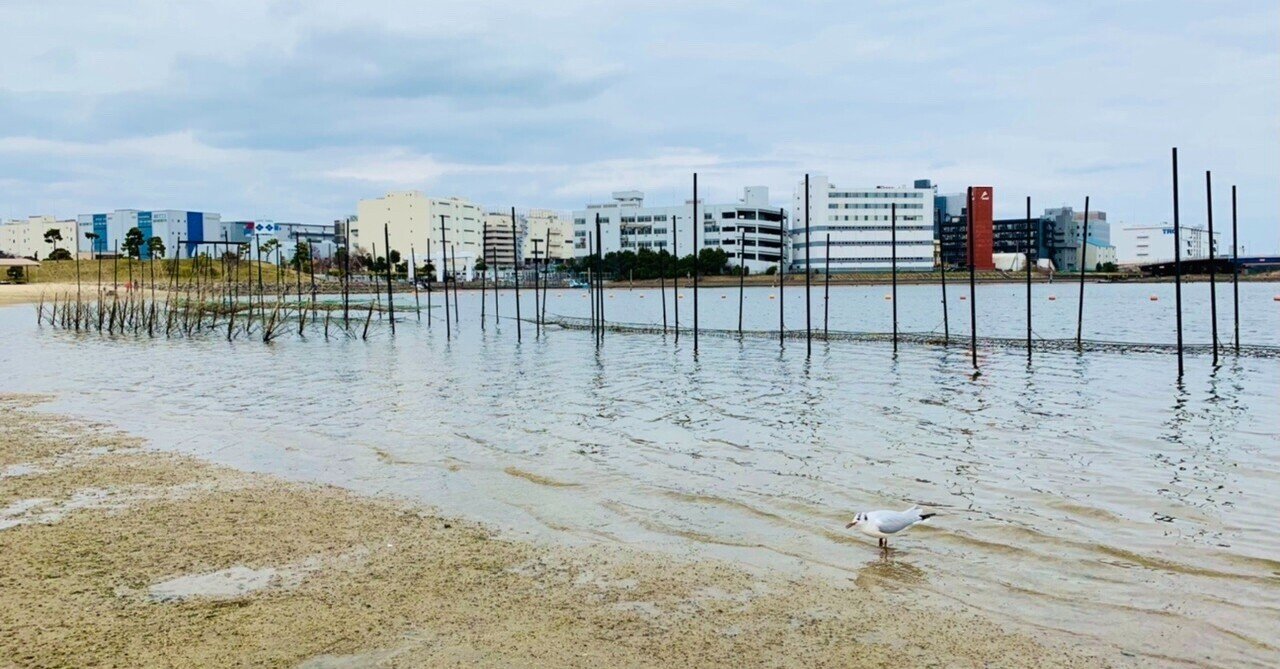ラン】都内でビーチ！ 海苔のふるさと！ 平和の森公園・大森ふるさとの浜公園コース（東京都大田区）｜サザヱ