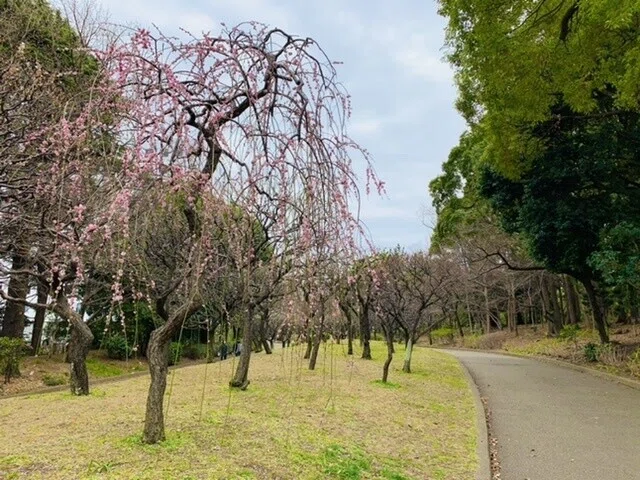 画像7
