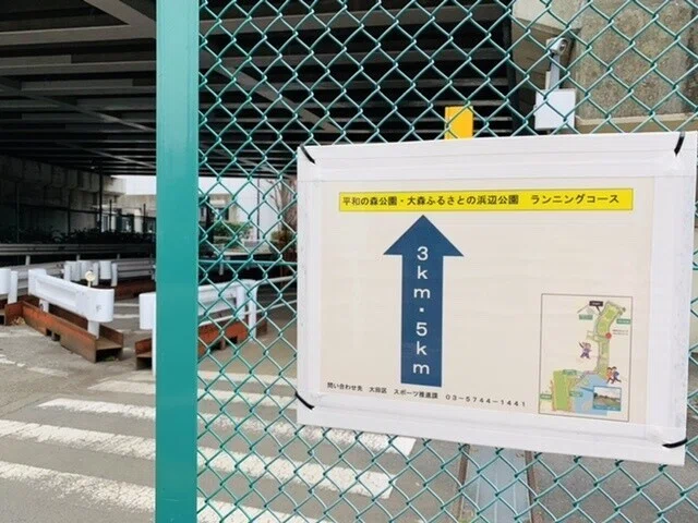 画像8