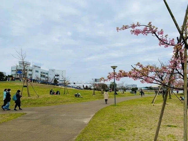 画像11