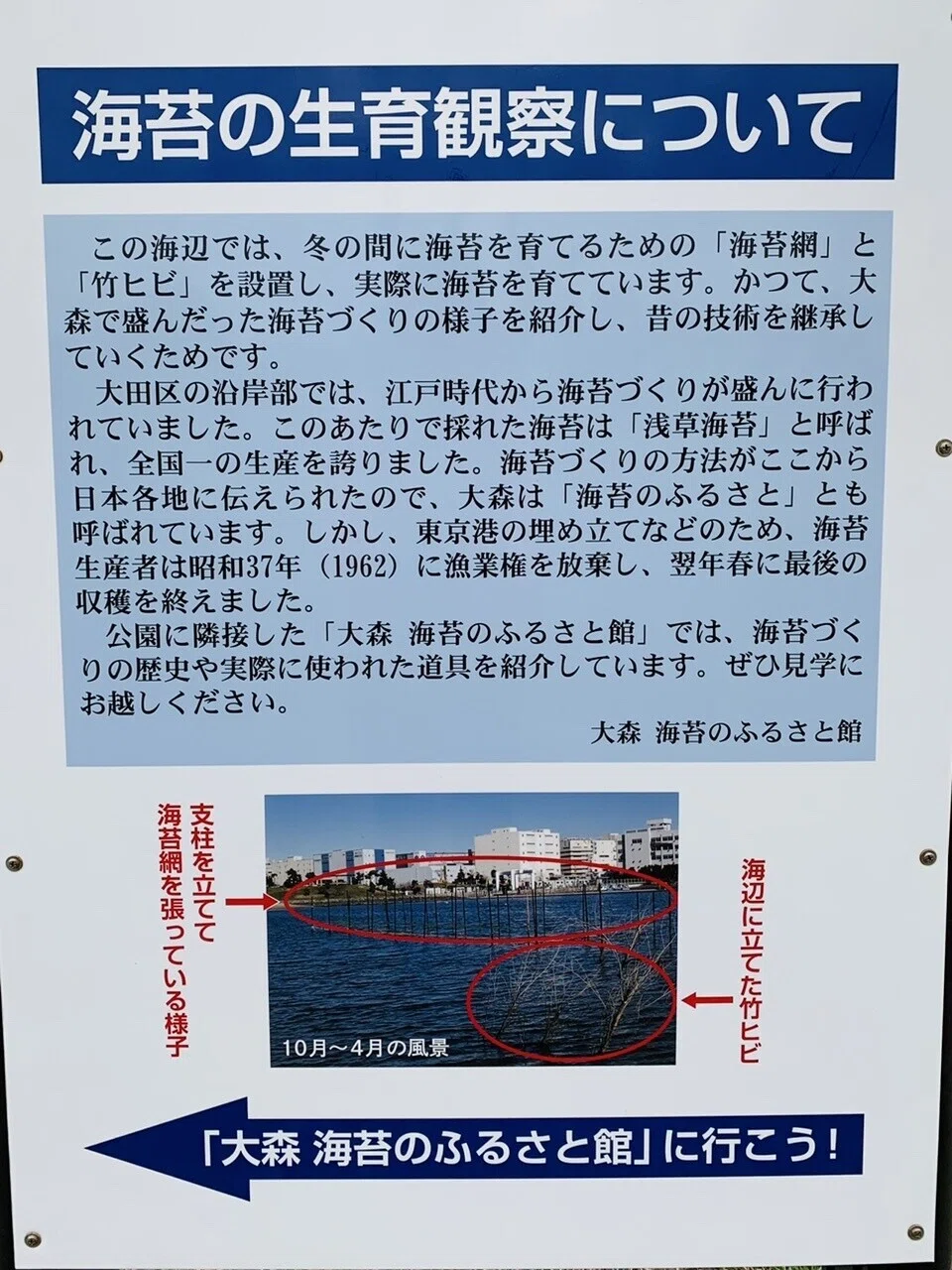 画像16
