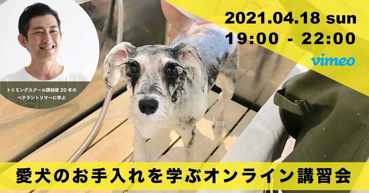 第2回 愛犬のお手入れを学ぶオンライン講習会 の受付を開始しました One For Dog Note