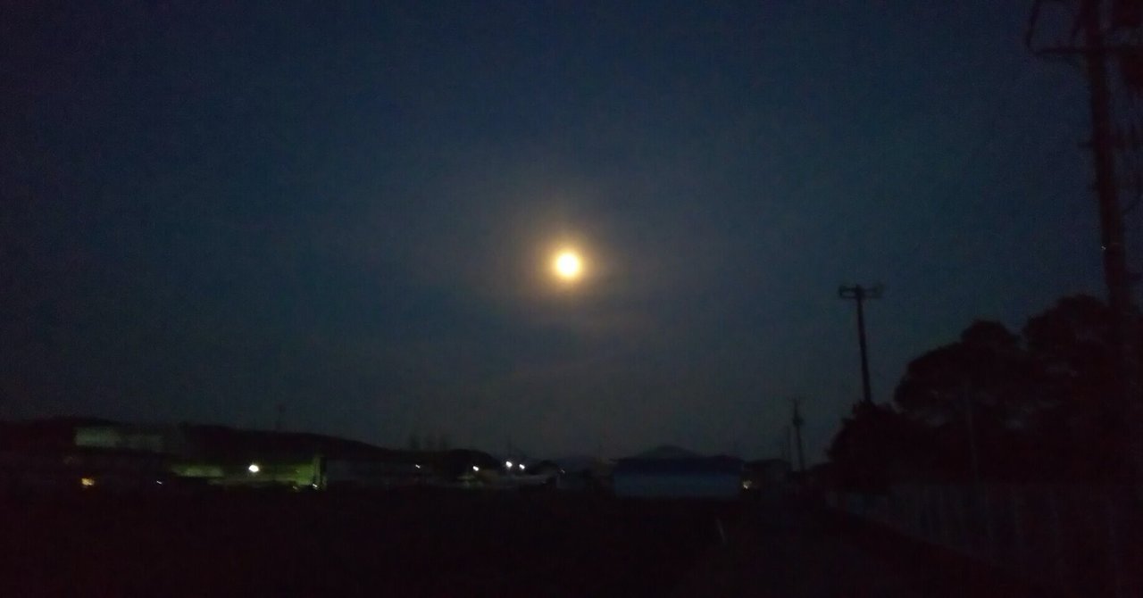 夜のコンビニと虫の走光性 佐々木悠介 宮城県石巻市地域おこし協力隊 Note 夜のコンビニと虫の走光性 佐々木悠介 宮城県石巻市地域おこし協力隊 Note