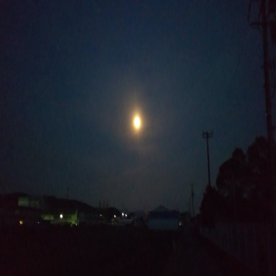 夜のコンビニと虫の走光性 佐々木悠介 宮城県石巻市地域おこし協力隊 Note