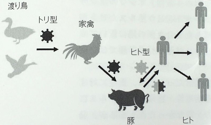 210228人類と感染症の歴史 渡り鳥