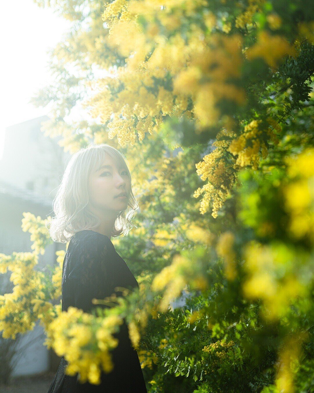 tokyo grapher のフィルター OPF550-L 650-L を撮り比べてみた