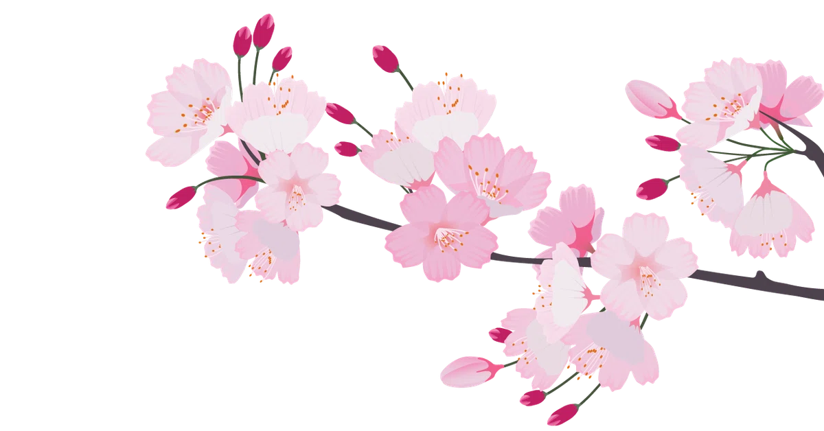 さくら