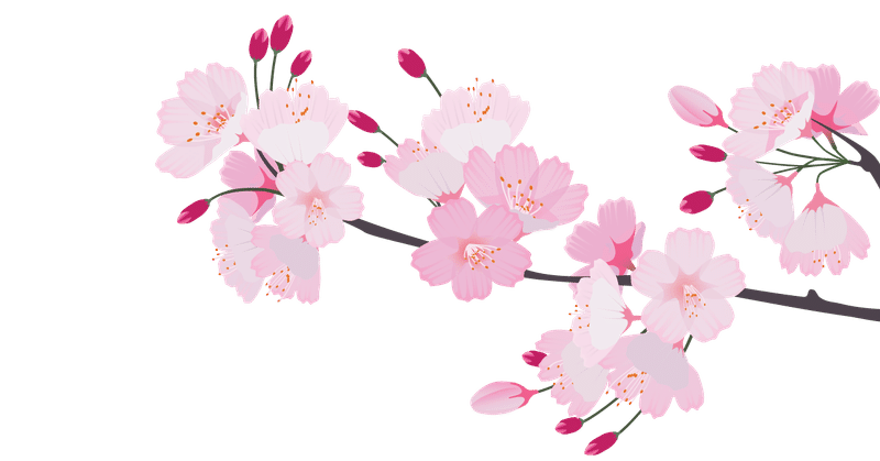 26今日の みんなのフォトギャラリー用 素材 お花編 桜 と 卒業式 Air Mezzanine Note 26今日の みんなのフォトギャラリー用 素材 お花編 桜 と 卒業式 Air Mezzanine Note