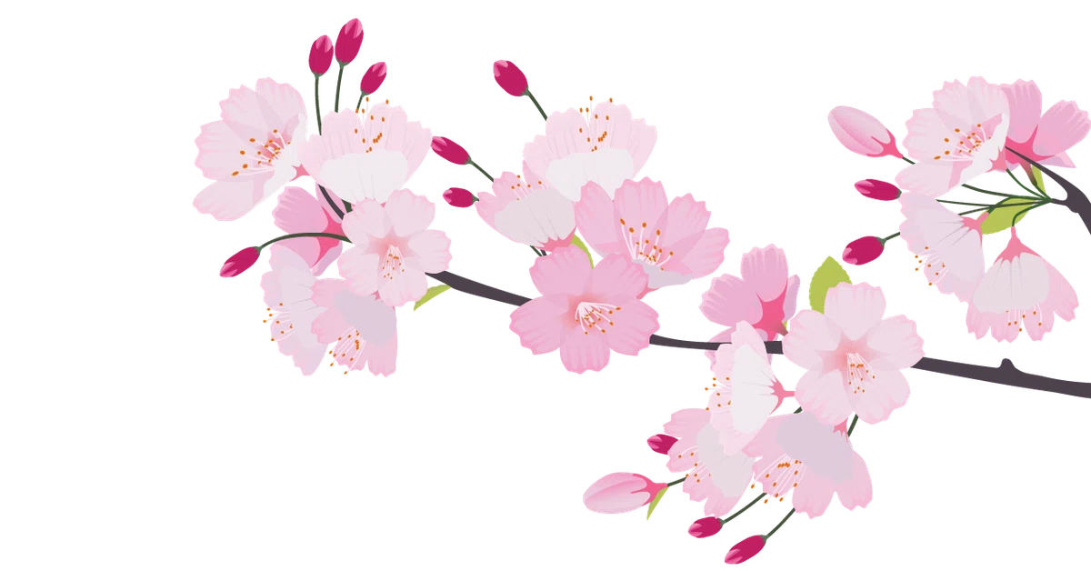 さくら1