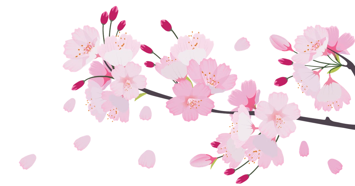 さくら2