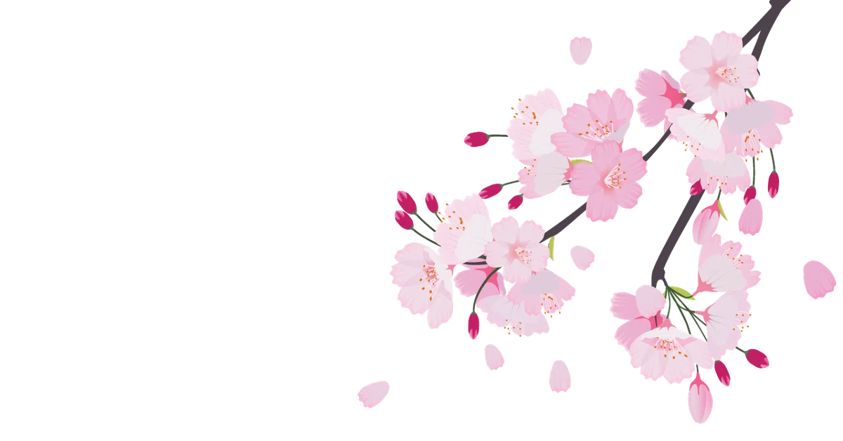 さくらCanva1