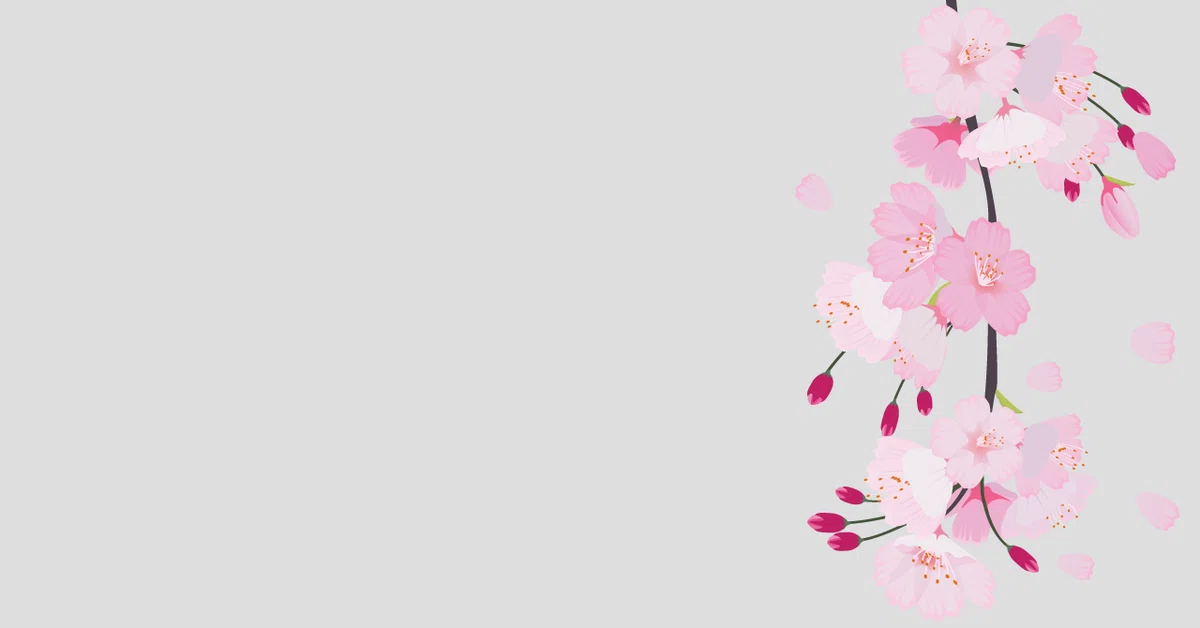 さくらCanvaグレー