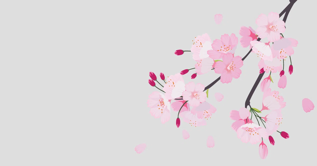 さくらCanvaグレー1