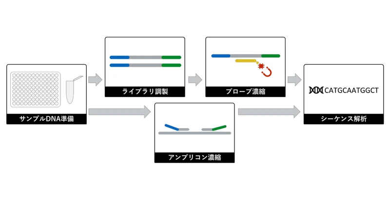 ngs next generation sequencing 次世代シーケンス 実験の工程 ざっくりと yuji hamamoto note