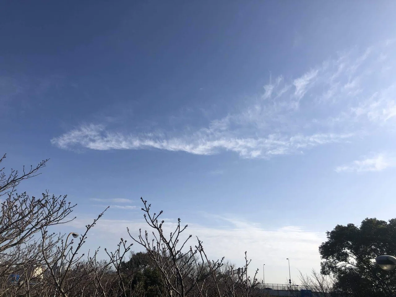 龍雲を見た朝 ちゃー Note