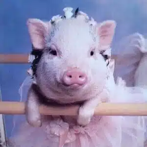 ♡のんのん♡