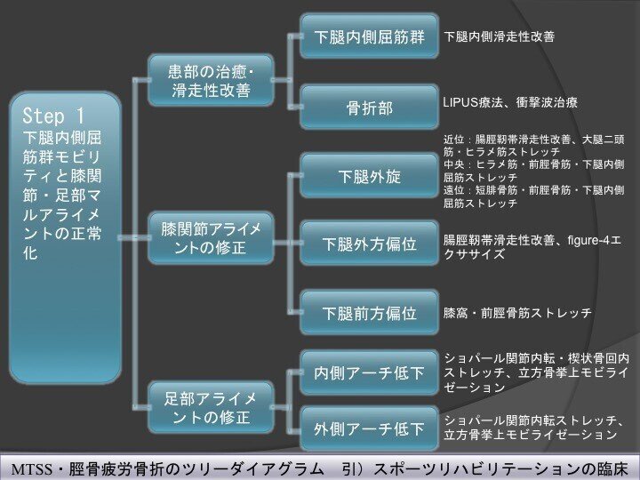 脛骨過労性骨膜炎 Mtss と脛骨疲労骨折のリハビリテーション 白須達也 Tatsuya Shirasu 理学療法士 アスレティックトレーナー Note 脛骨過労性骨膜炎 Mtss と脛骨疲労骨折のリハビリテーション 白須達也 Tatsuya Shirasu 理学療法士 アスレティックトレーナー Note
