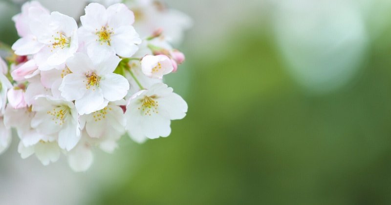 出会いは別れの始まり ぴすけ 乙女座 Note 出会いは別れの始まり ぴすけ 乙女座 Note