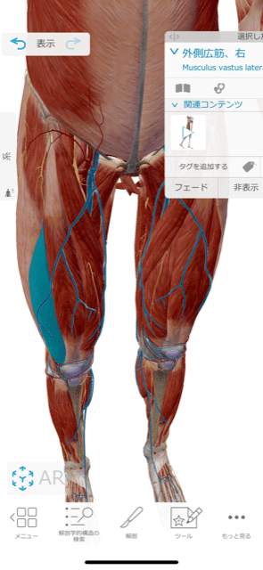 ピンとした姿勢は足が重要 おうちでできるトレーニング法 太もも編 基弘会編集部 Note