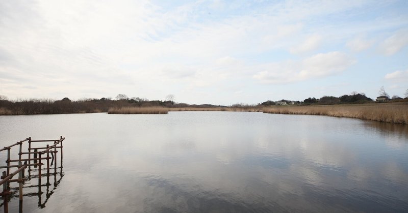 利根川・江戸川・鬼怒川・渡良瀬川・合流地点を探す16号線の旅、その５。菅生沼と一言主神社と台地の岬と。