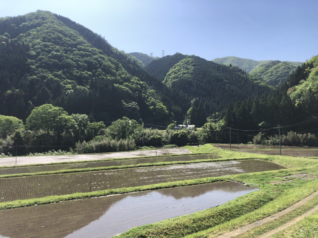 しまね女子ブログ】 山本千栄vol.4｜しまね移住project【ふるさと島根