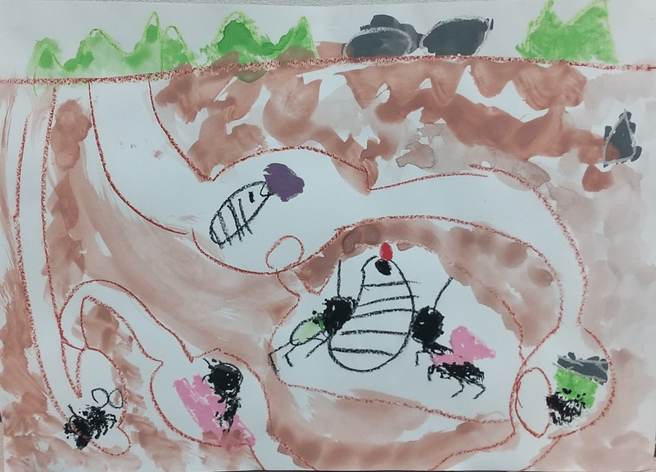 アリの巣 y5歳 Nozomi Note アリの巣 y5歳 Nozomi Note