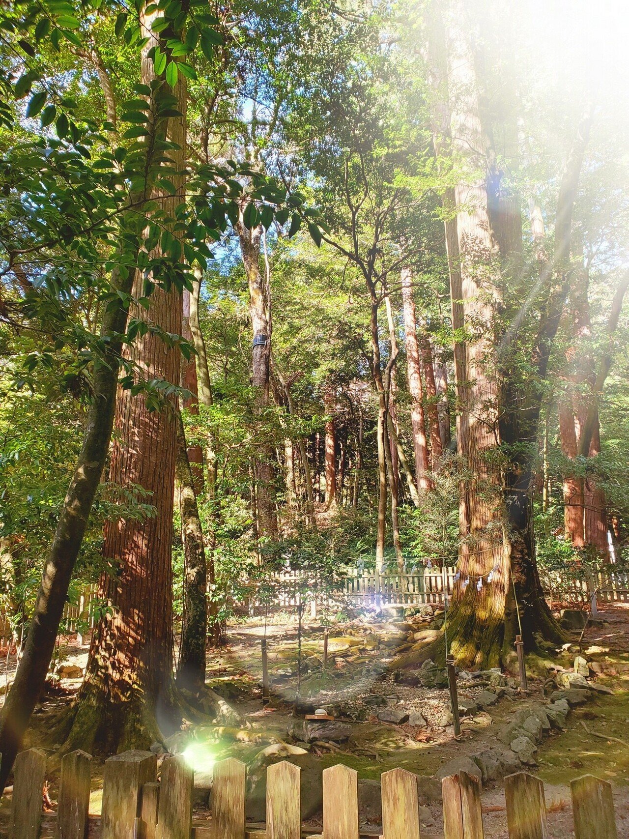 開運待ち受け 磐座 Confieka Note