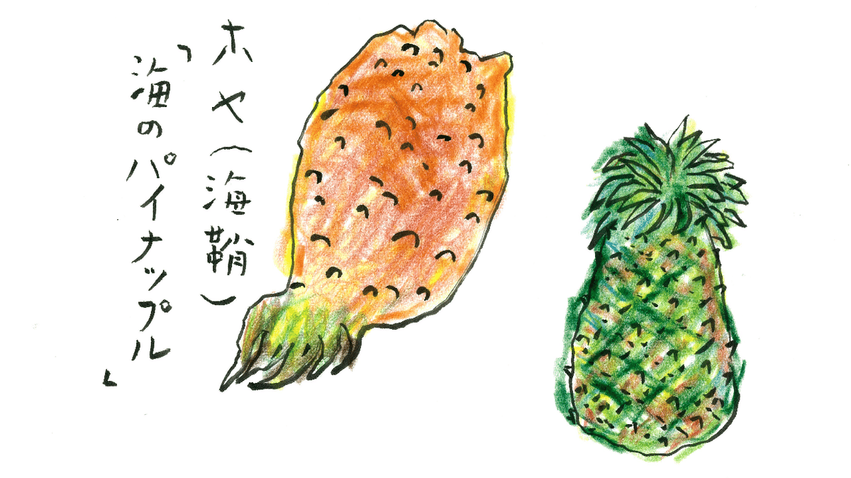 沢野ひとしの水彩画 青森で「ホヤ」が呼んでいる/沢野ひとし｜世界文化社 公式note