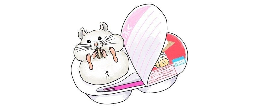 mouse_yukimidaihukuバナー用360