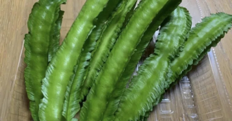 沖縄野菜 の新着タグ記事一覧 Note つくる つながる とどける