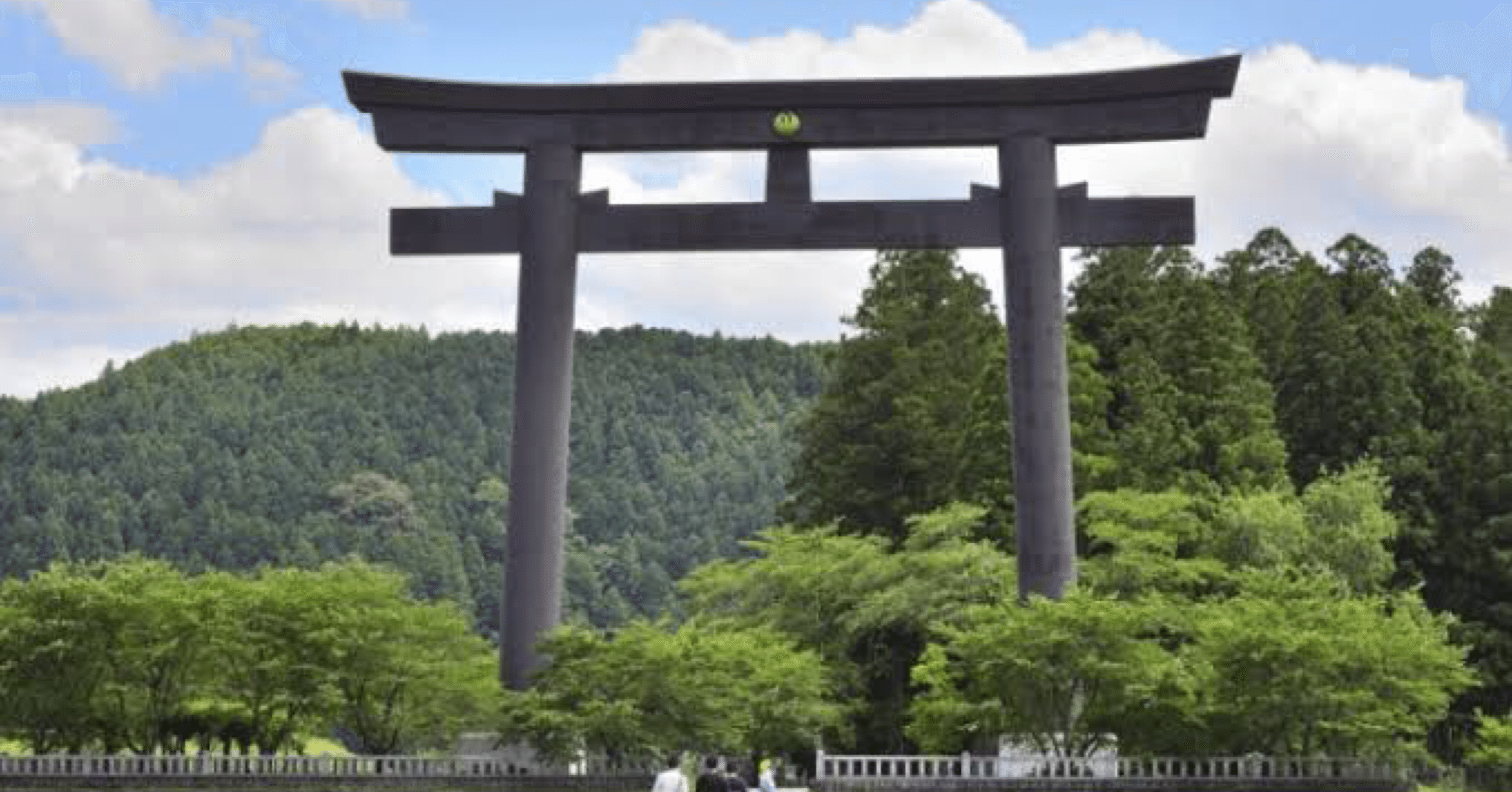 森の書道 八百万の神様の内の森の神様 森の書道 八百万の神様の内の森