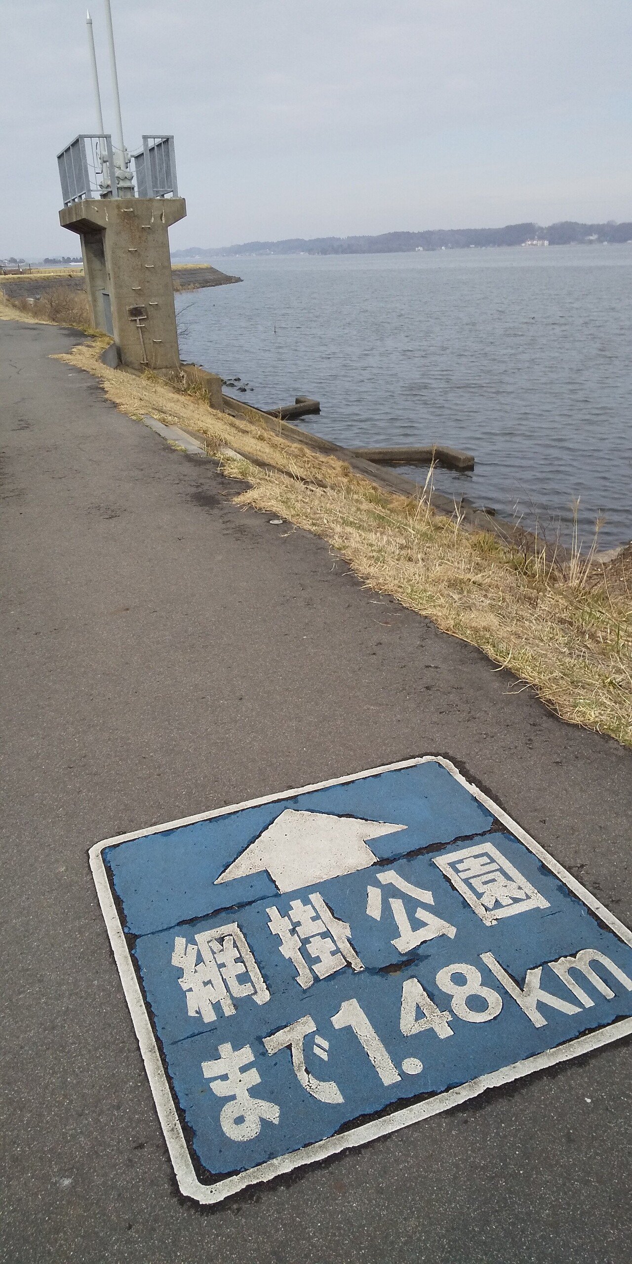 ナカさんの沼活動 涸沼 21 3 6 ナカさん Note ナカさんの沼活動 涸沼 21 3 6 ナカさん Note